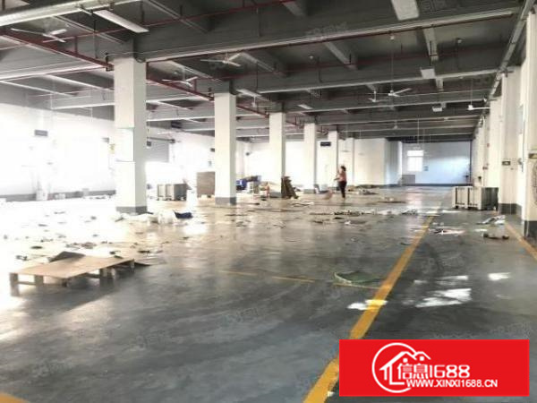 证件齐全，容桂高黎标准1000方，园区管理，空地大