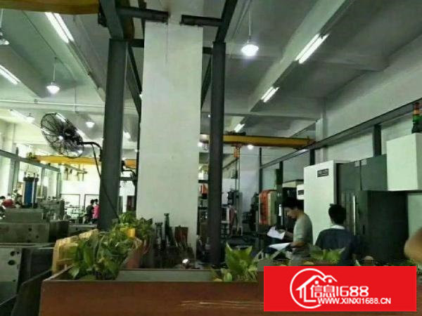 龙岗区横岗一楼1300平厂房出租，高6米，现成行车