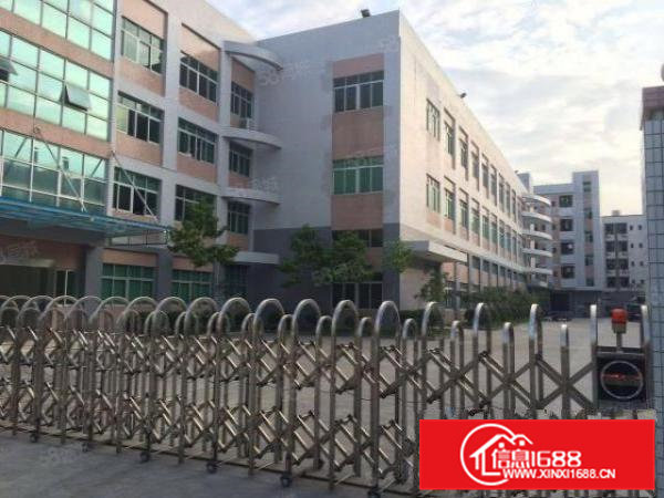 横沥新出原房东独院厂房分租一楼2000平方带牛角位