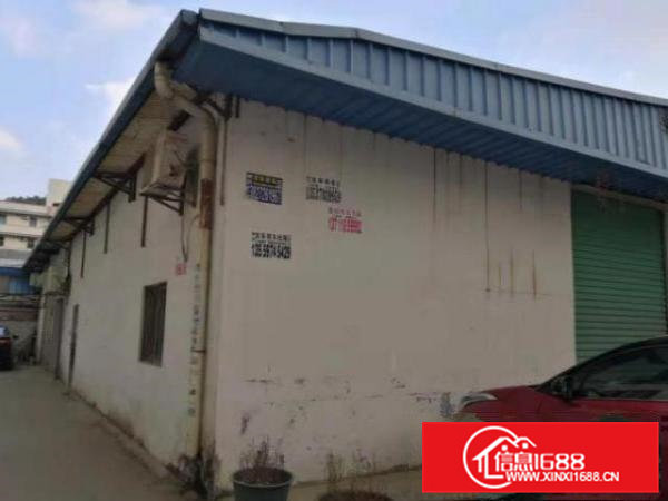 清溪大利村单一层厂房800平有办公室装修光线好