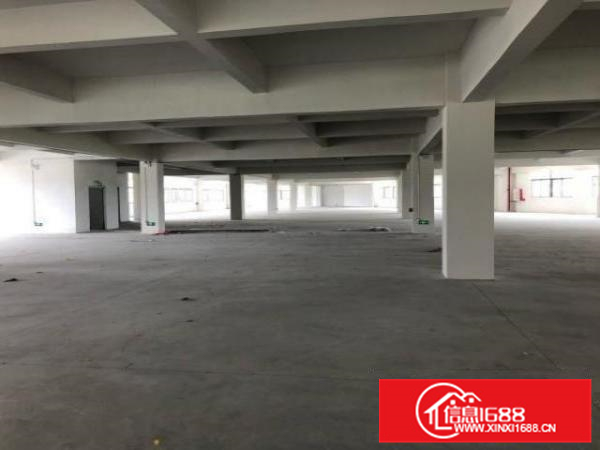 顺德全新标准厂房出租，业主直租