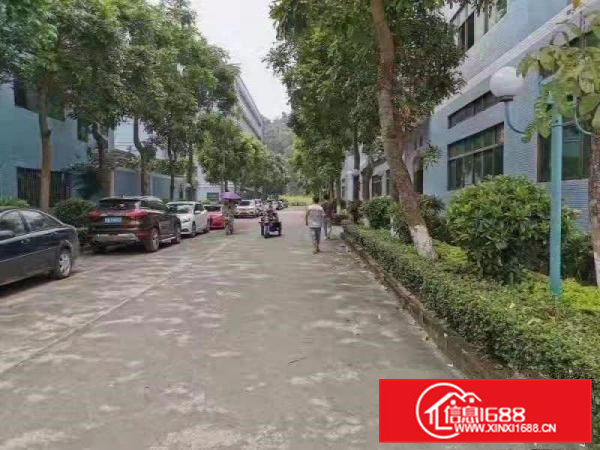 塘厦现成千级无尘车间出租1000平方好招工