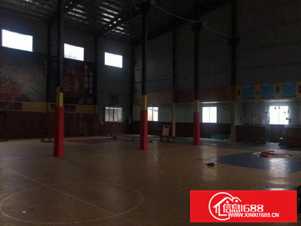 出租茶山镇经典小独院铁皮厂房