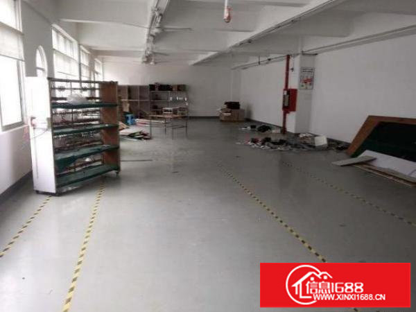 坪山碧岭金碧路旁原房东3楼1100平出租