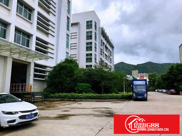 横岗工业区厂房_带卸货区_可办公_楼层可选_性价比高