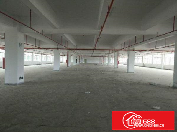 惠阳仲恺单一层钢构55000平方米适合污染企业厂房