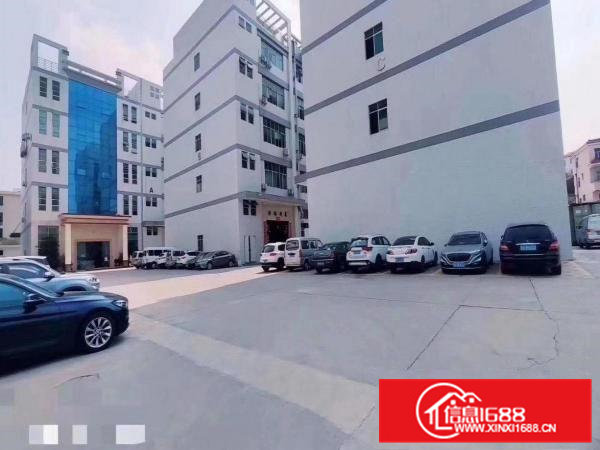 凤岗金凤凰楼上整层1350平招租带消防喷淋水电装修