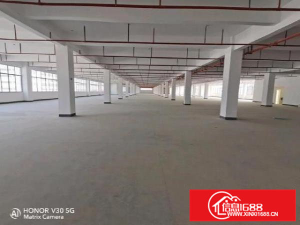 15起租清溪罗马独院厂房出租3万平方100起租一楼分租原房东