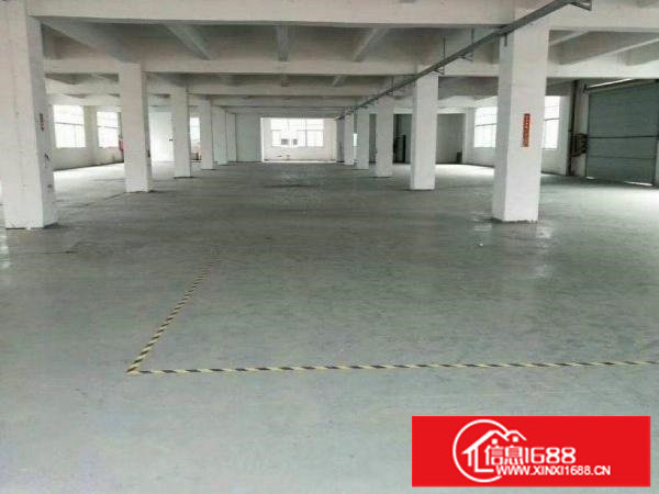 横岗大道旁原房东独院5880平可分租