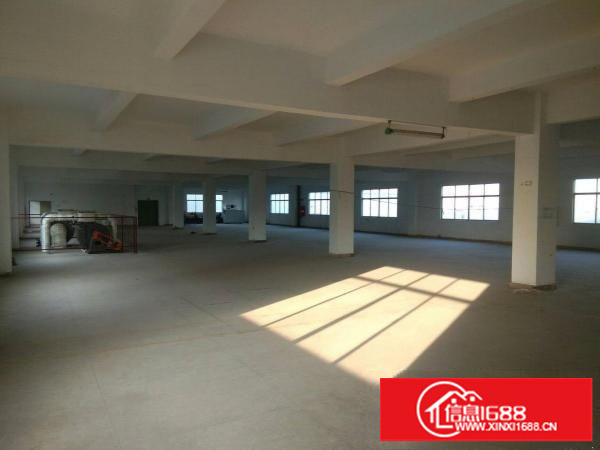 坪山6000平方独院厂房招租，大小可分租