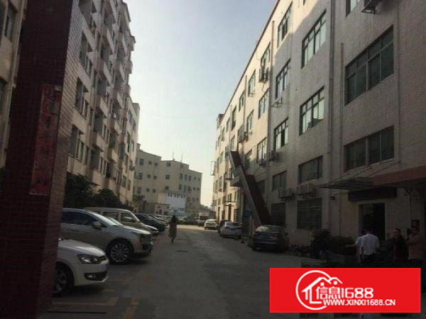 横岗四联新出1000平米带装修厂房出租车间吊顶主线到位