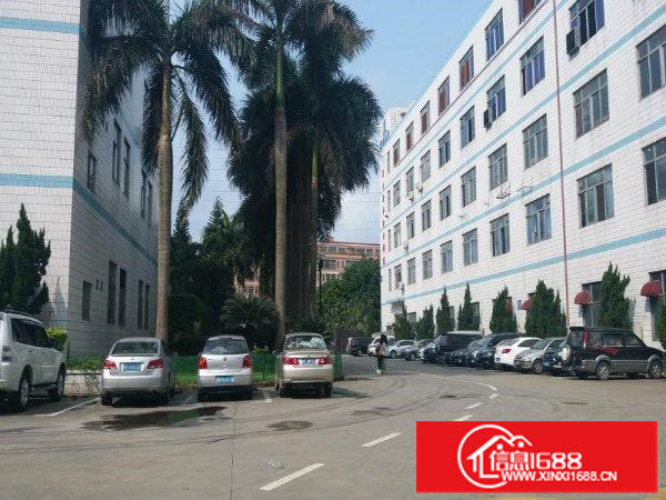 横岗六约楼上1500平米，一楼1500平米，可分租