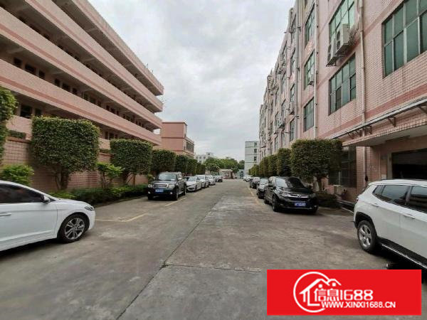 横岗六约现成珠宝厂1650平，不用转让费