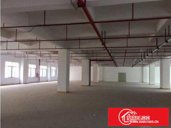 桥头李屋二楼1200平方