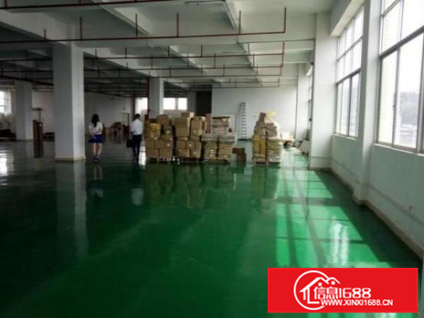 招工易！丹灶西城村新出1楼1800平厂房