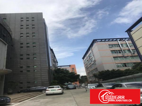 坂田天虹电商园75平方110平方240平方630平方招租