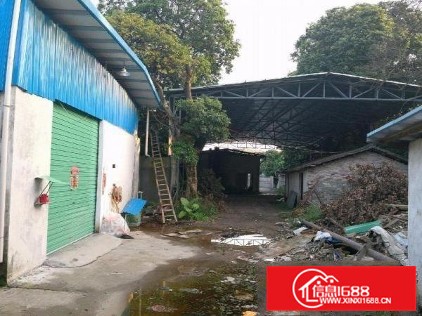 厂房出租，可分租，欢迎有能力客户一起共赢，建多钱层