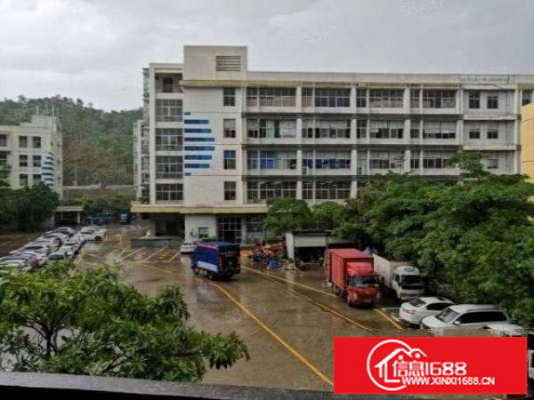 观澜花园式高新园区新出楼上1700平方精装修厂房招租