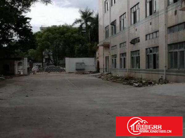 观澜街道库坑原房东厂房出租