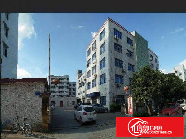 坪山碧岭村标准独院分租一楼小面积厂房300平方，现成装修