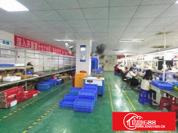 桥头莲城楼上带装修800平厂房出租