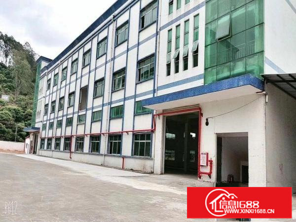 清溪镇新出高品质标准独院厂房出租厂房3层7500平可分租