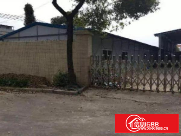 高埗环城路边单一层厂房2000平方出租工业用地可办环评