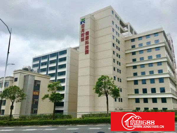 坂田1000平红本产权厂房出租健康科技园孵化器，层高8.5米