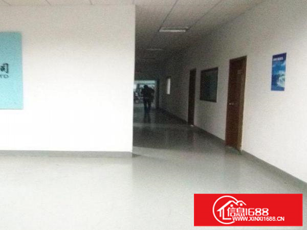 惠阳新墟原房东小独院形象漂亮价格美丽2380平可分租