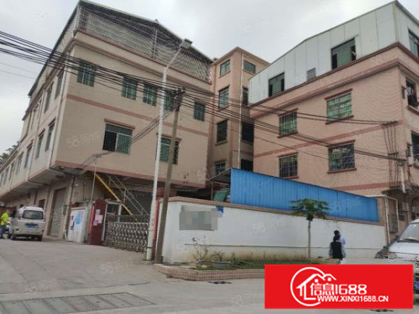 石排原房东标准厂房5800方出租，适合各行业，精装办公室！