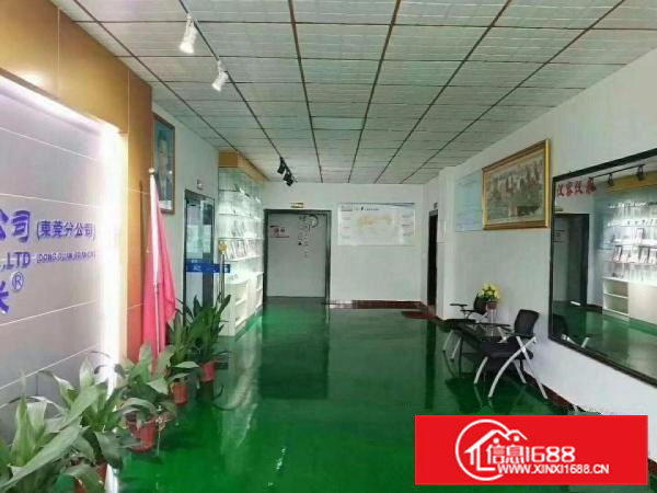 北栅新出原房东厂房3楼1200平方带现成装修无公摊