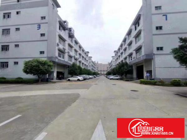 松岗原房东厂房一二楼1260平方可分租500.600带装修