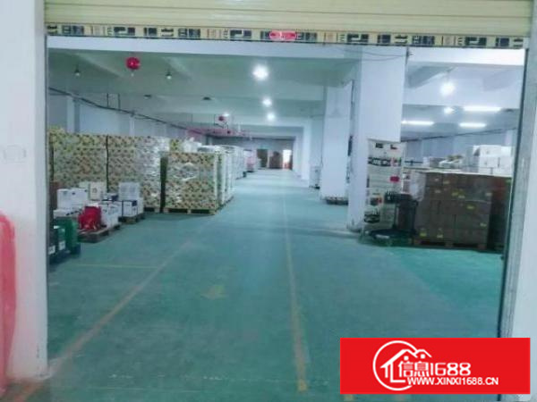 观平路5楼1800平方出租