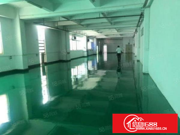 精装修！无转让费！坪山坑梓二楼600平水电齐全厂房出租