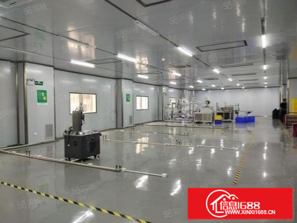 清溪三中工业园区1300平原房东无尘车间仓库厂房出租可分租