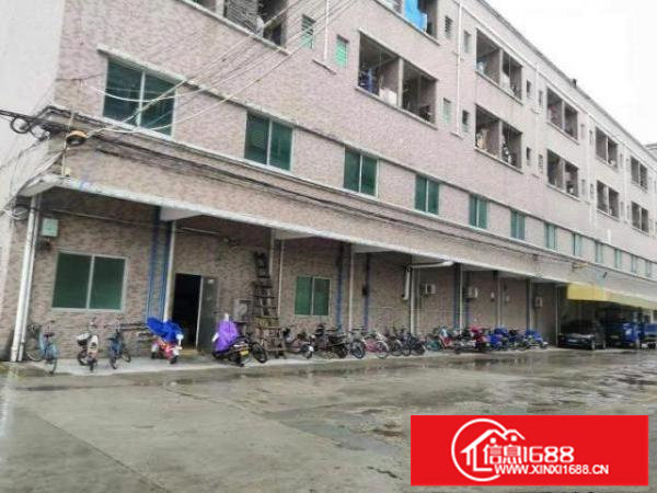 坪山石井新出独院原房东工业厂房三层共7150平米出租