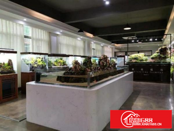 龙华厂房招租500平起租