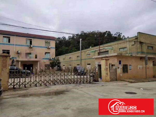 清溪九乡独院钢构厂房出租3000平米适合塑胶五金打包纸箱