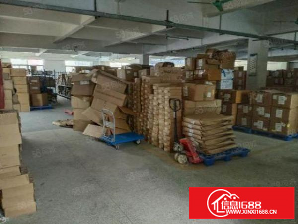 万江流涌尾工业园环城路外，超靓厂房，大小可分租