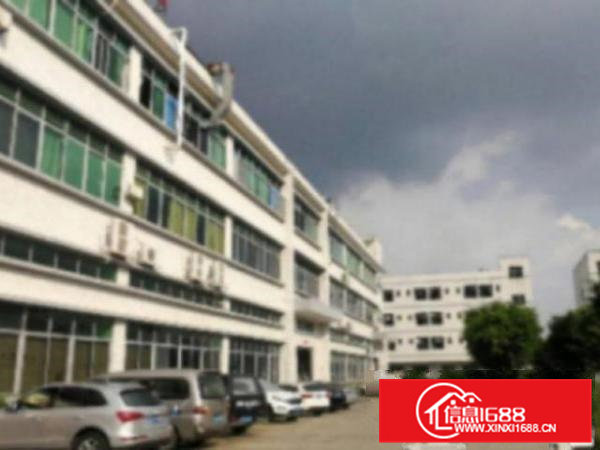 高埗标准一楼1580平方招租带办公室装修