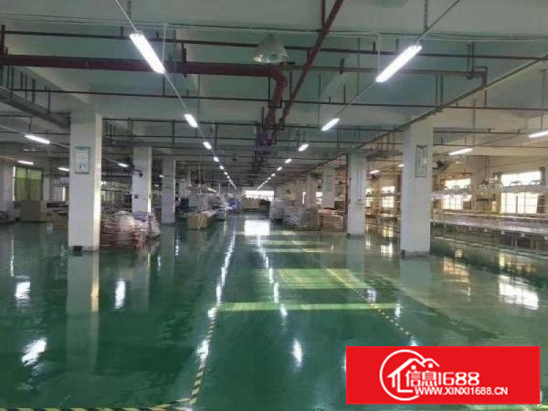 惠东县白花独门独院标准厂房8000平方带现成地平漆车间出租