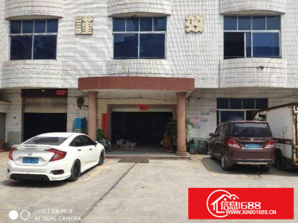 树田一楼带装修560平方厂房出租，办公室