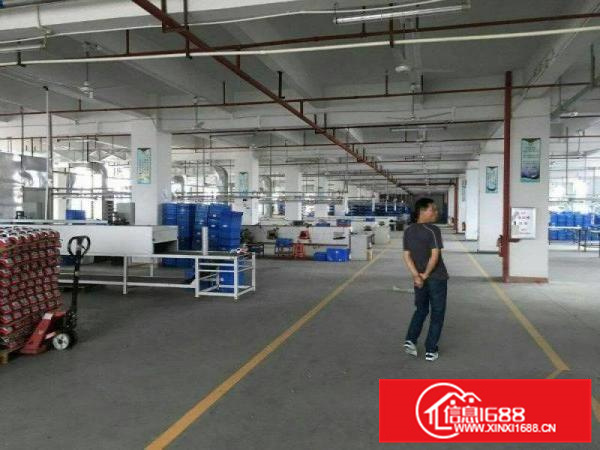 仲恺陈江原房东标准厂房400到3500平方