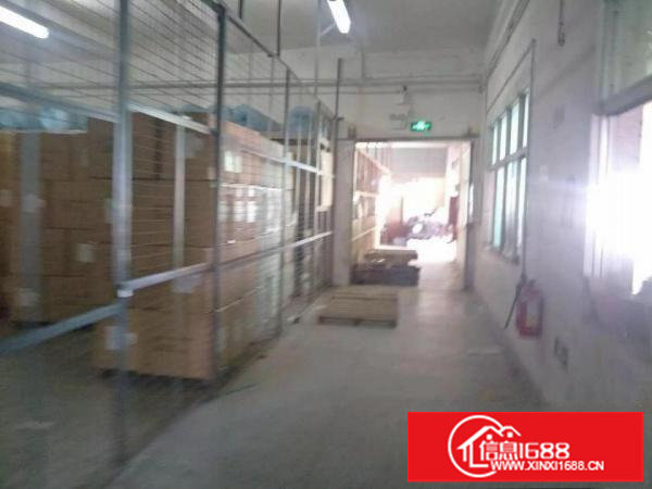 平湖清平.金龙高速出口附近标准厂房一楼1500出租