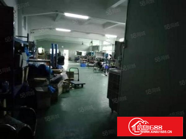 塘厦新出780平标准厂房独门独院带绿色地坪漆