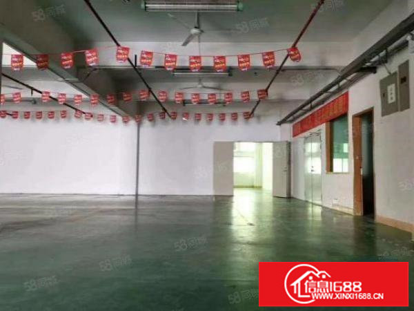龙华大浪南路一楼700平标准厂房出租