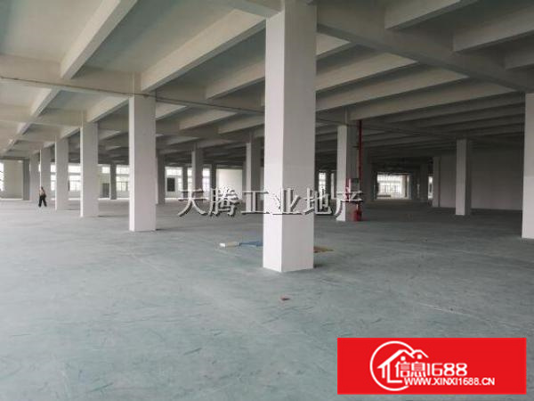 龙江陈涌工业区23800方全新标准商品厂房，可分租