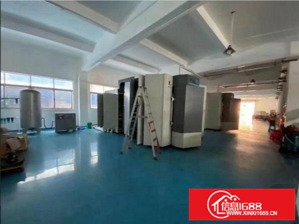 竹尾田村附近新出一楼1050平方，豪华装修，车间地坪漆