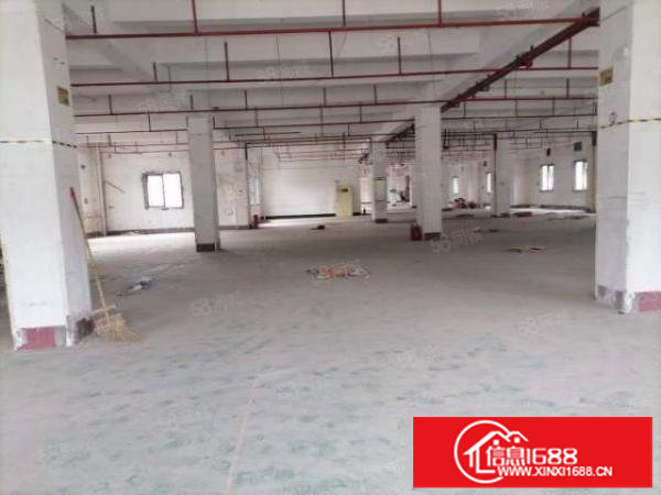 布吉大芬一手房东1至3楼厂房1000出租证件齐全100平起分