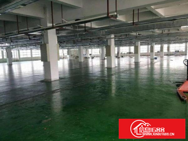 东风工业区独门独院新出一楼1200平出租水电办公室齐全